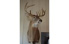 Property photo 191 - REAL ESTATE & PERSONAL PROPERTY AUCTION, 140 Acres offered in 8 Tracts or Combinations in Steuben County